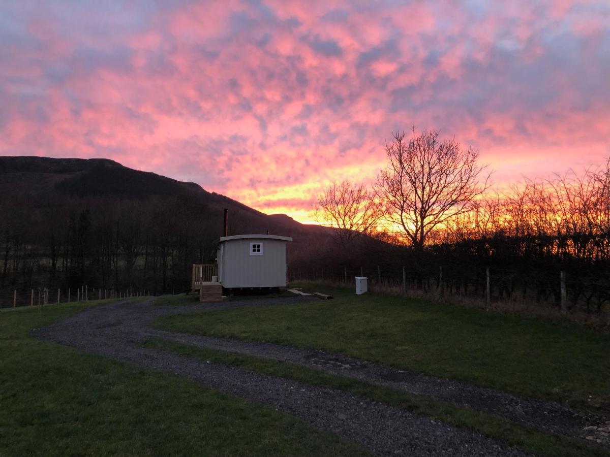 Rosemary Shepherds Hut, Clay Bank Huts Ingleby Greenhow Екстер'єр фото