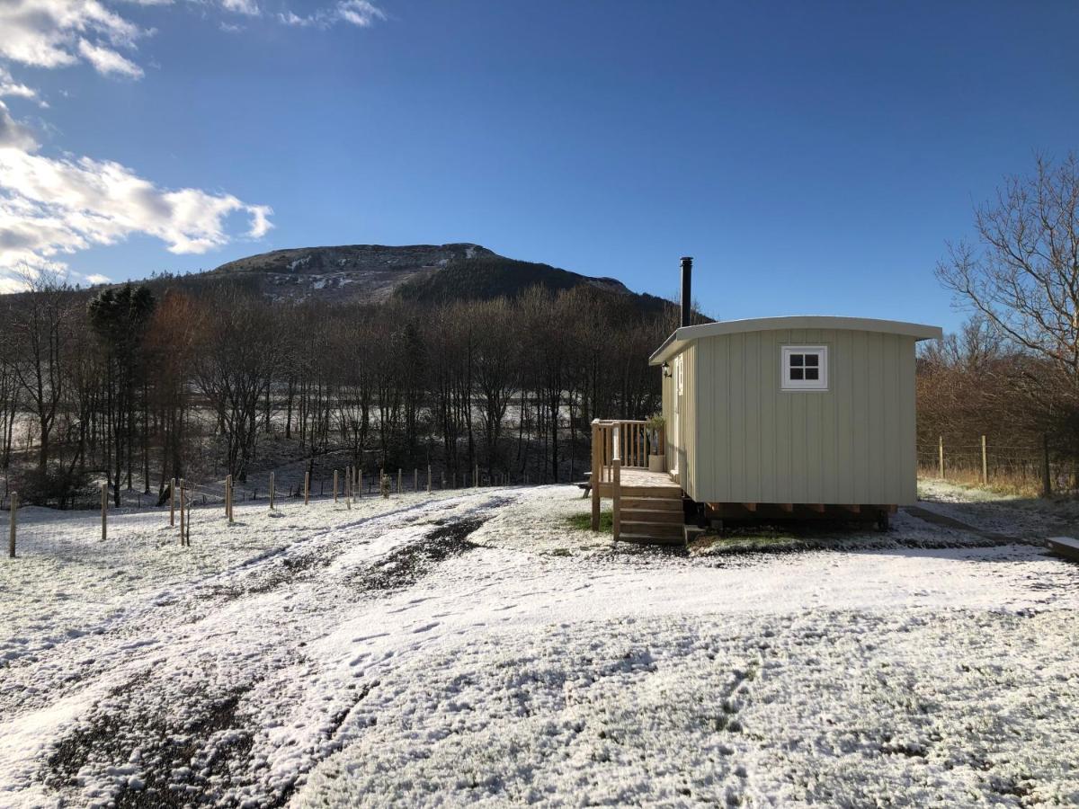 Rosemary Shepherds Hut, Clay Bank Huts Ingleby Greenhow Екстер'єр фото